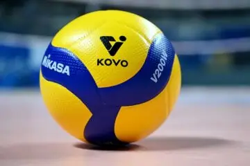 여자배구 vs 남자배구 라이브 배팅 차이점 완벽 정리